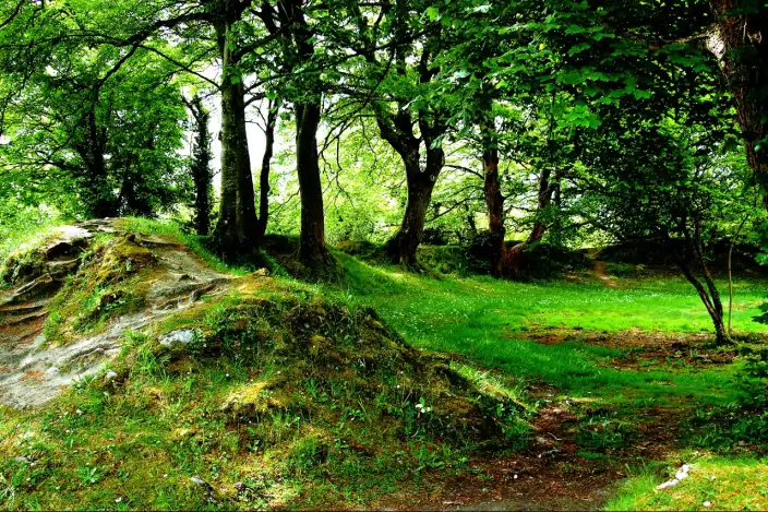 Earthen ringfort with grassy banks and trees at An Rath.