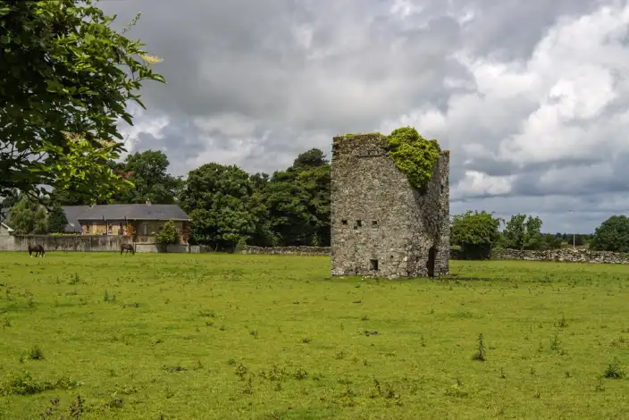 Ruined stone tower house standing in a field at Jigginstown near Naas, County Kildare.