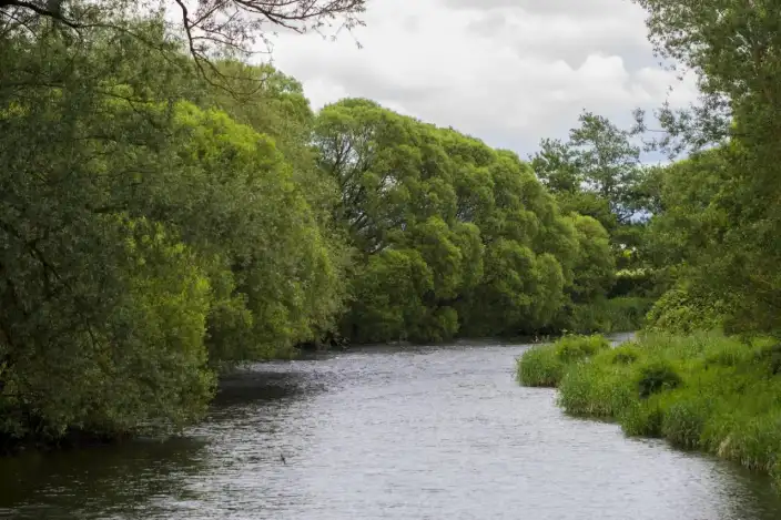 Liffey Linear Park