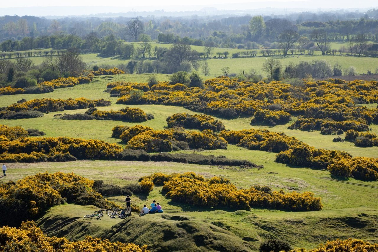 Curragh plains