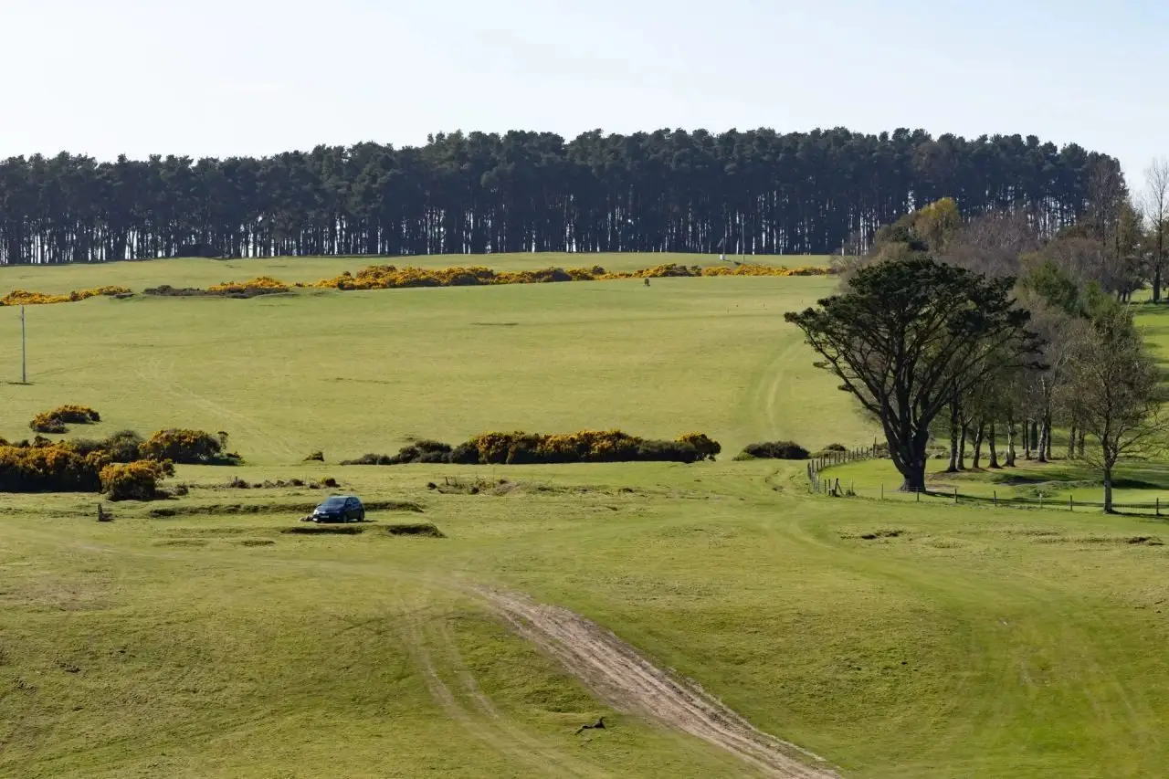 Curragh Plains