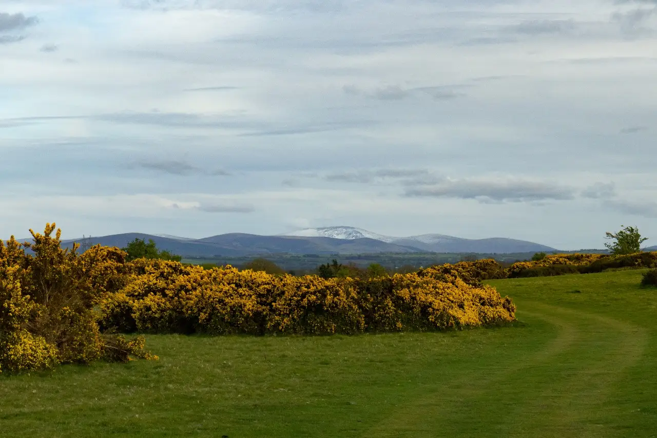 Curragh Plains Trail