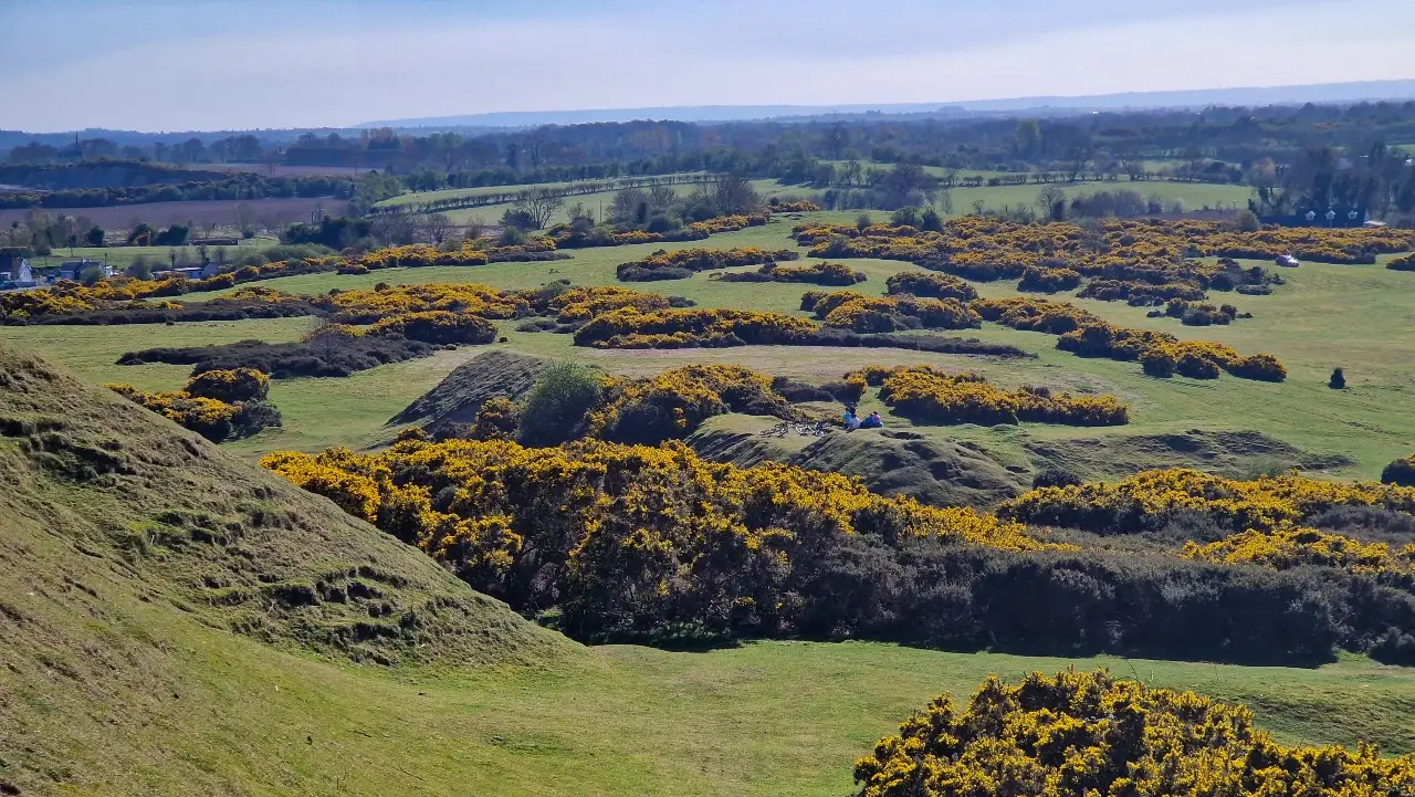 Curragh Plains Trail