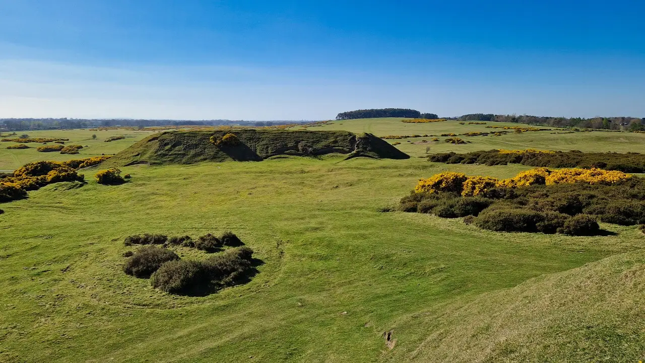 Curragh Plains Trail